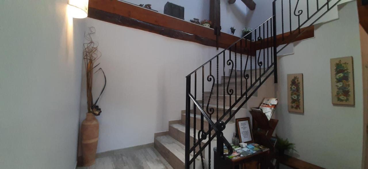 Ondarbaso Apartamentos Rurales III Zestoa Eksteriør bilde
