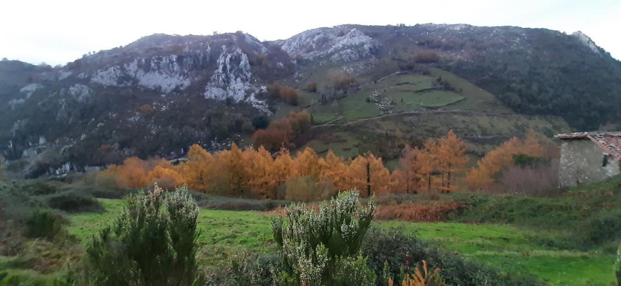 Ondarbaso Apartamentos Rurales III Zestoa Eksteriør bilde