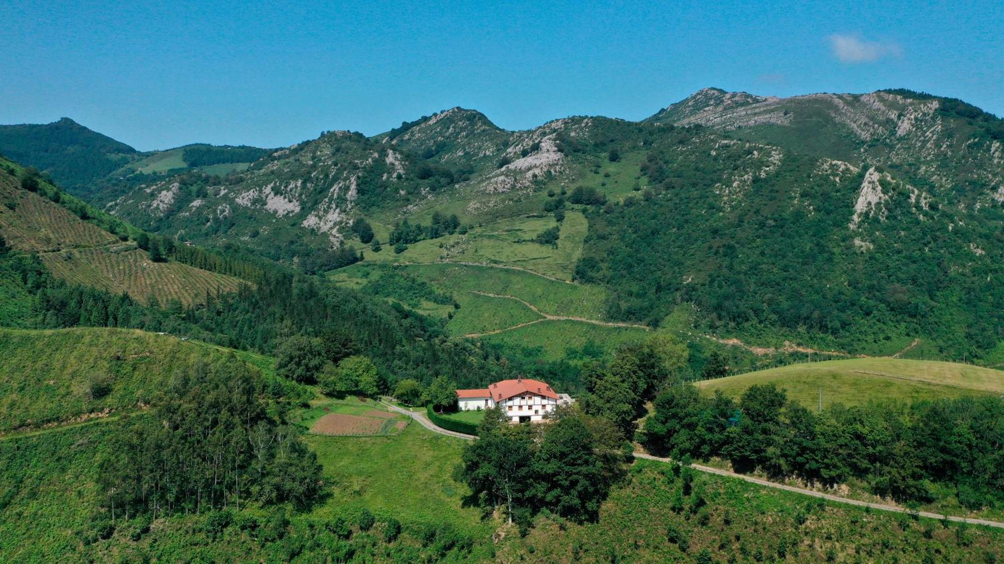 Ondarbaso Apartamentos Rurales III Zestoa Eksteriør bilde